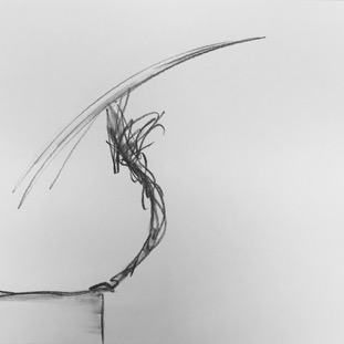 ASZ_drawing-1055.jpg